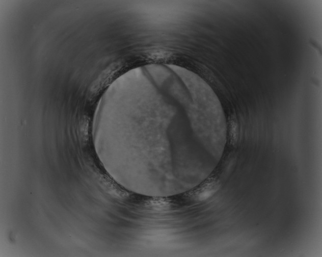 X0000103250668200809251352