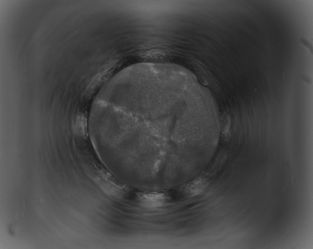 X0000103250669200809251352