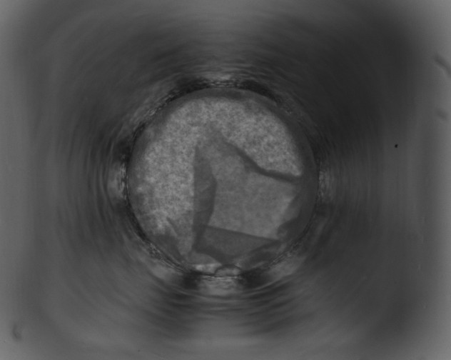 X0000103250671200809251352