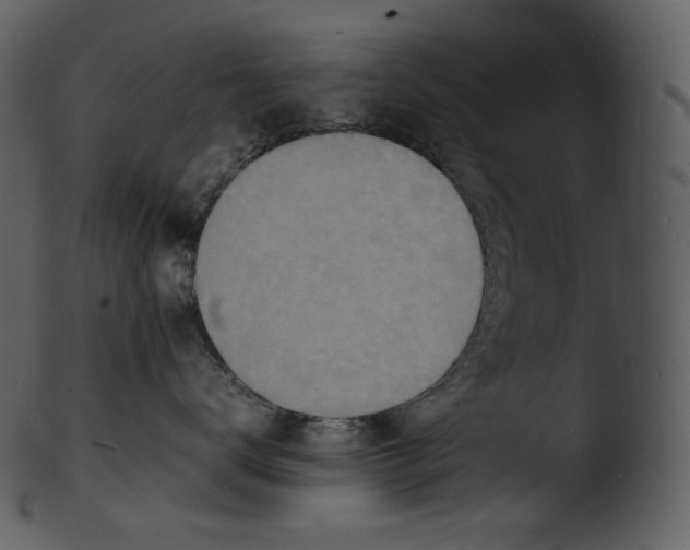 X0000103250672200809251352