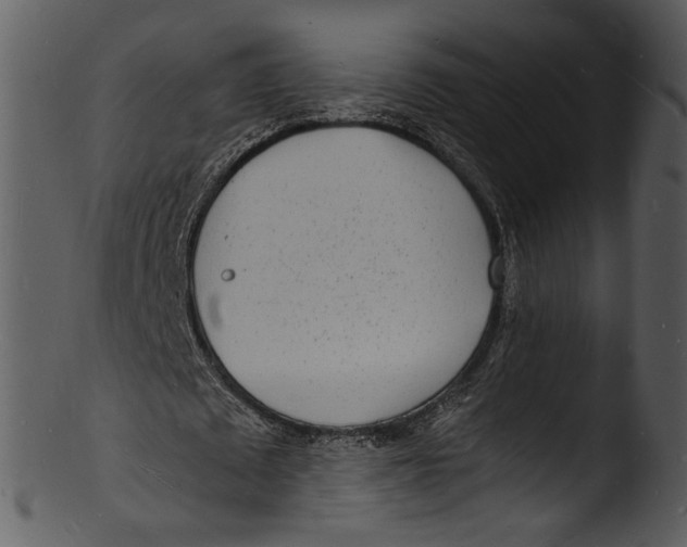 X0000103250673200809251352