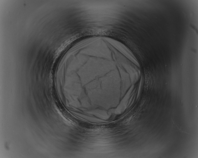 X0000103250674200809251352