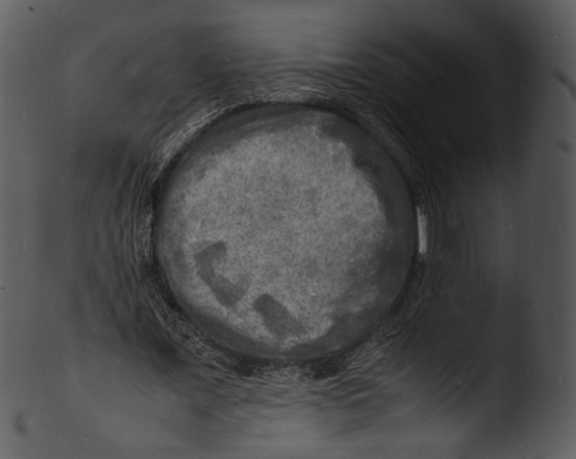 X0000103250675200809251352