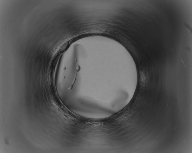 X0000103250676200809251352