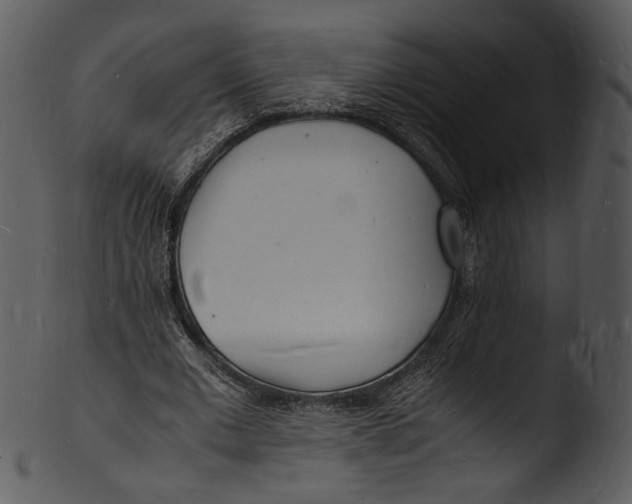 X0000103250677200809251352