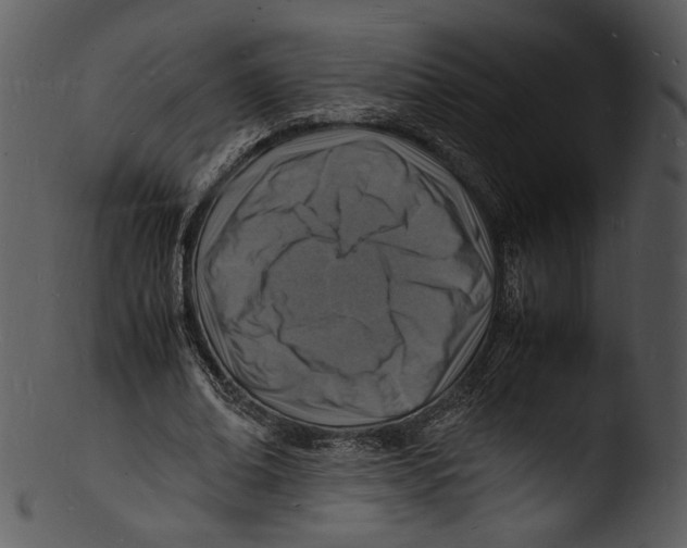 X0000103250678200809251352