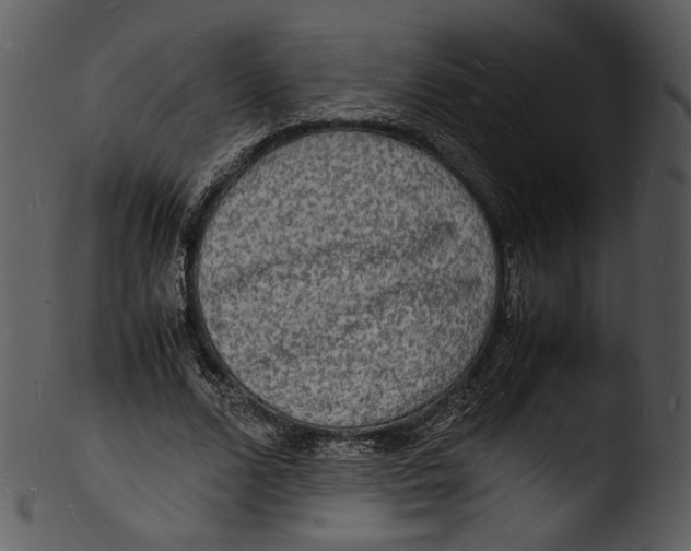 X0000103250680200809251352