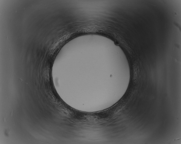X0000103250681200809251352