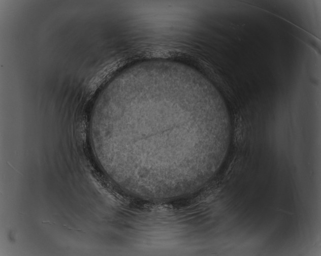 X0000103250683200809251352
