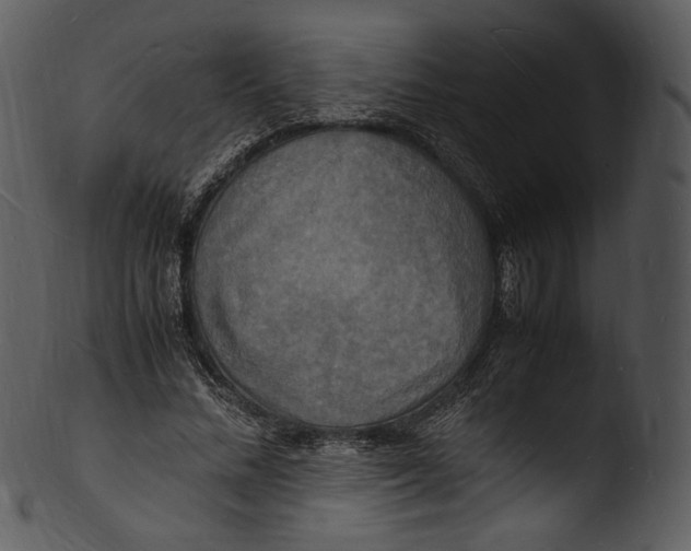 X0000103250684200809251352