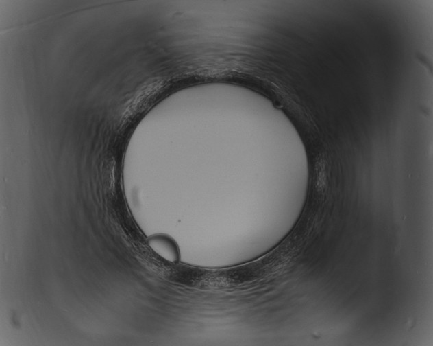 X0000103250685200809251351