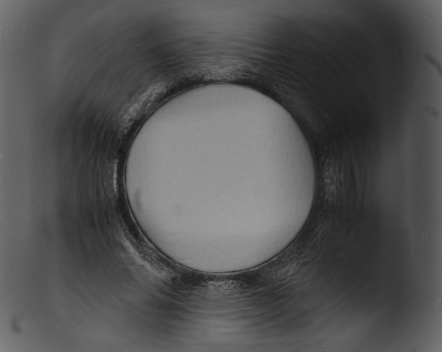 X0000103250686200809251351