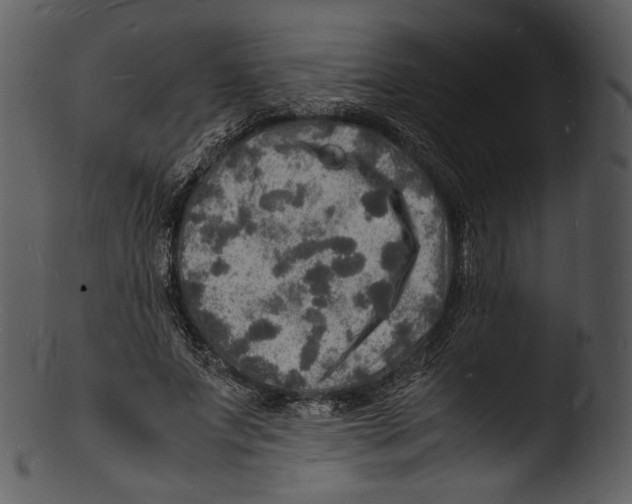 X0000103250687200809251351