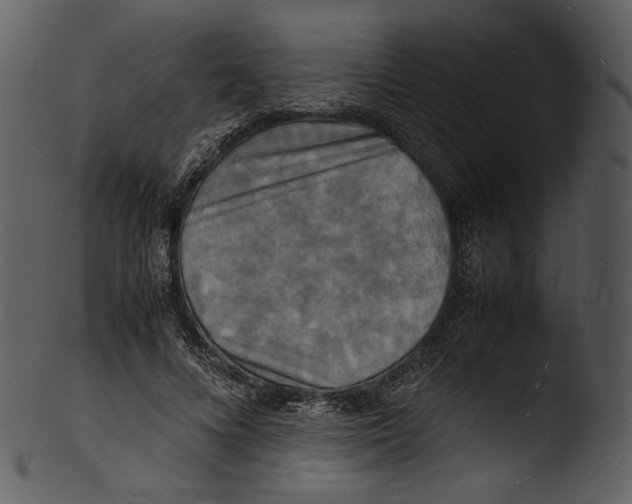 X0000103250688200809251351