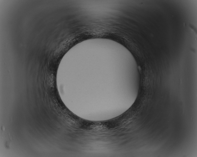 X0000103250689200809251351