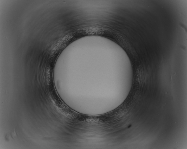 X0000103250690200809251351