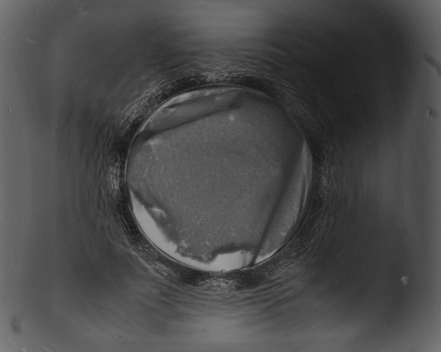 X0000103250691200809251351