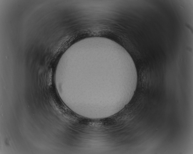 X0000103250694200809251351