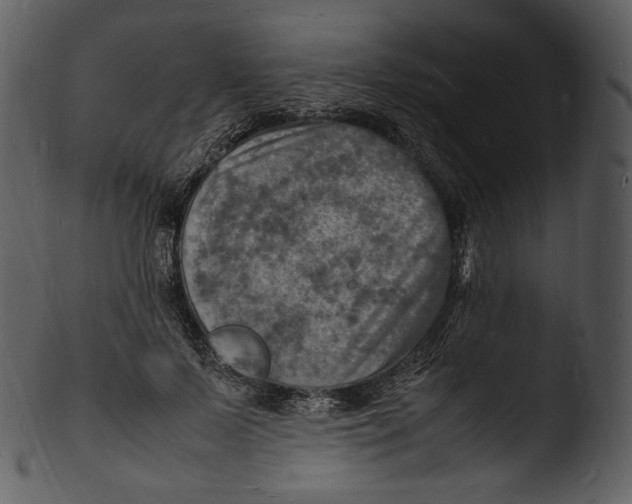 X0000103250695200809251351