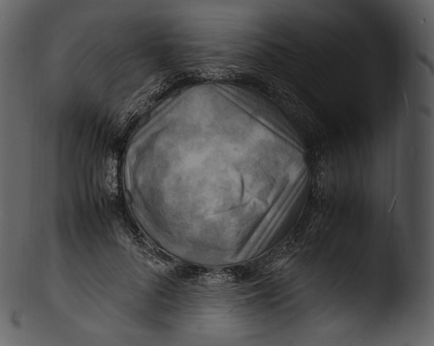 X0000103250696200809251351