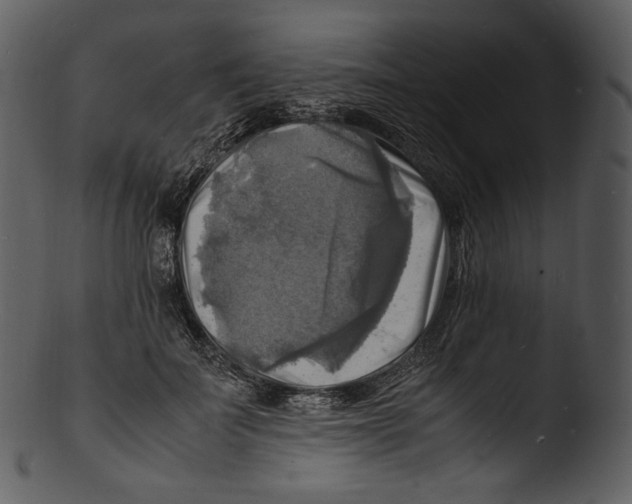X0000103250699200809251351