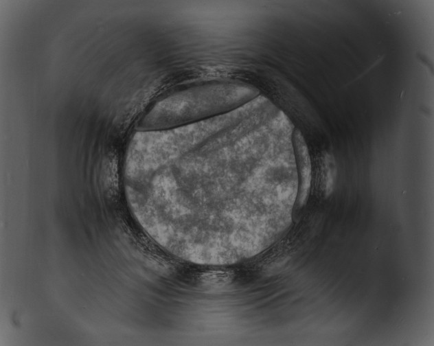X0000103250700200809251351