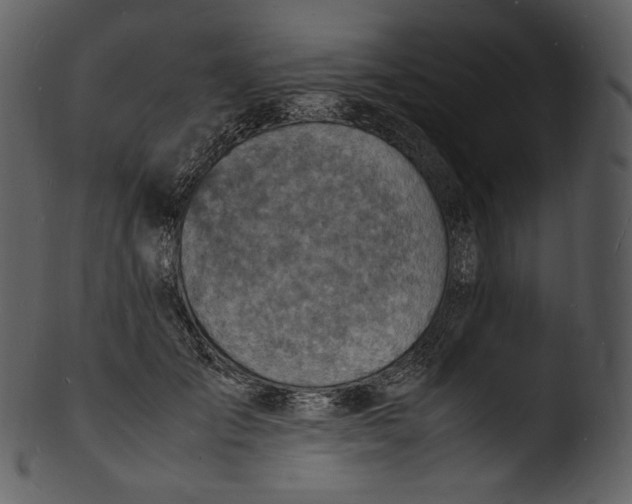 X0000103250701200809251351