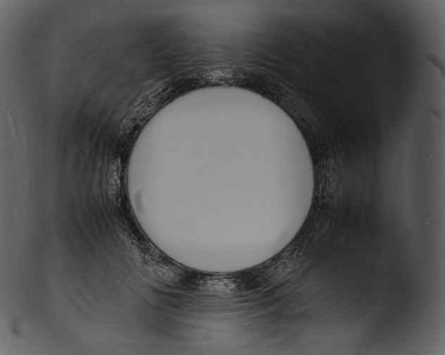 X0000103250702200809251351