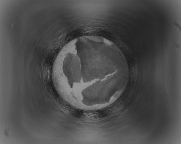 X0000103250703200809251351