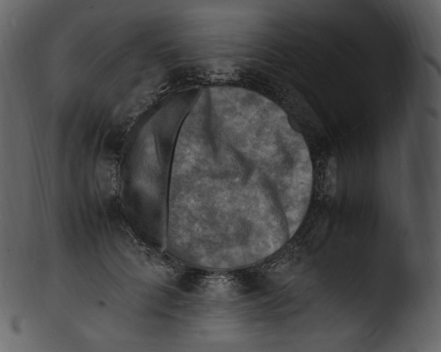 X0000103250704200809251351