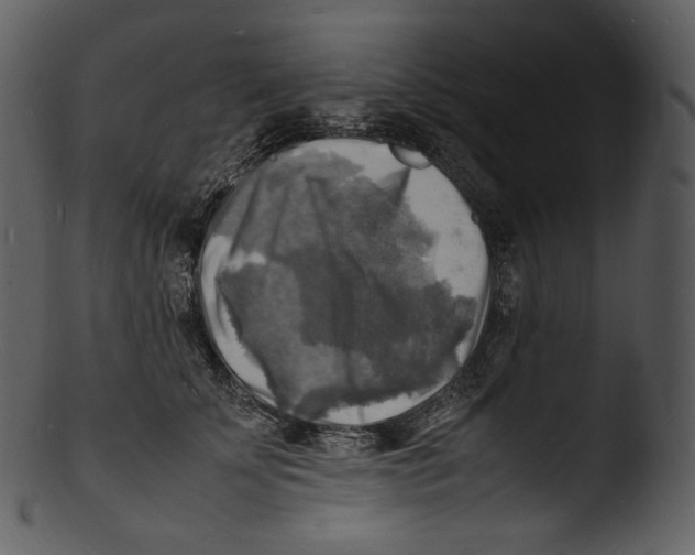 X0000103250707200809251351