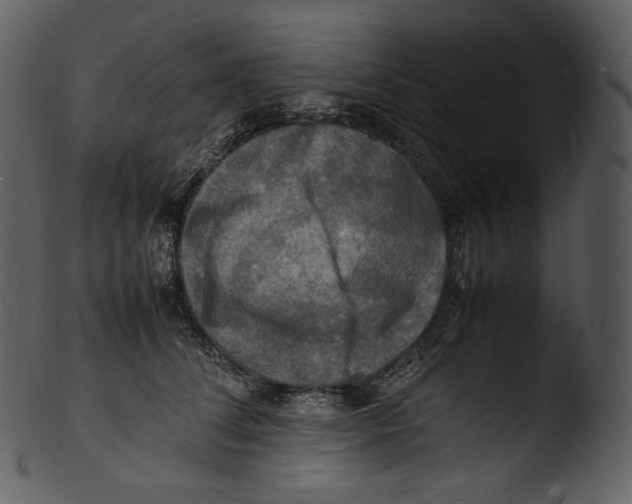 X0000103250708200809251351