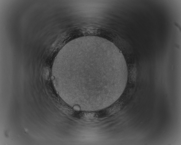 X0000103250709200809251351
