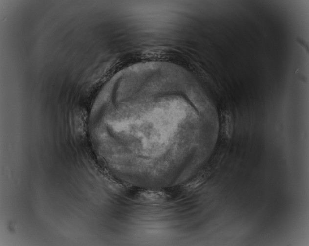 X0000103250712200809251351