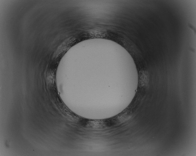 X0000103250713200809251351