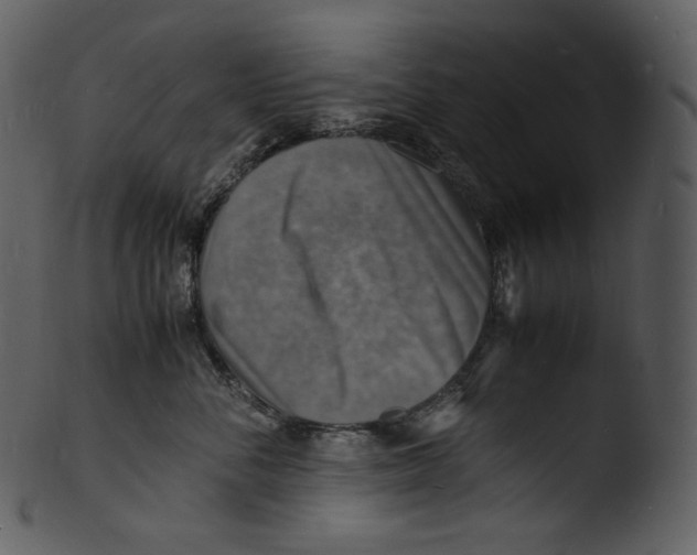 X0000103250716200809251351