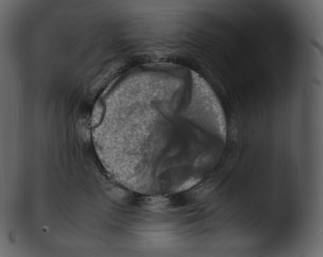 X0000103250719200809251351