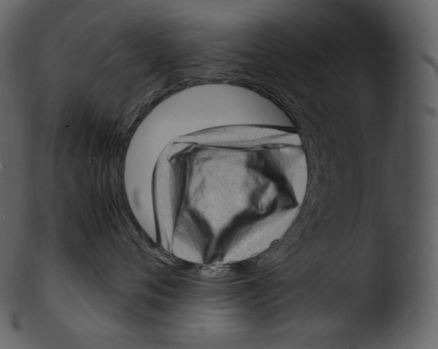 X0000103250720200809251351