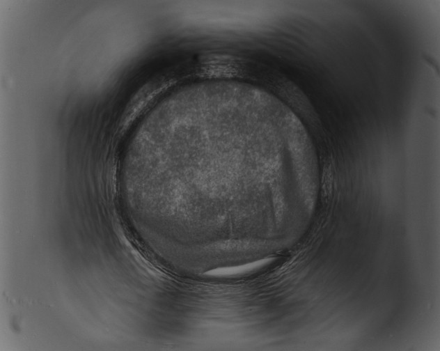 X0000103250722200809251350