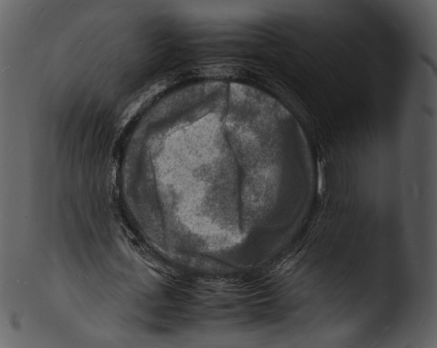 X0000103250723200809251350