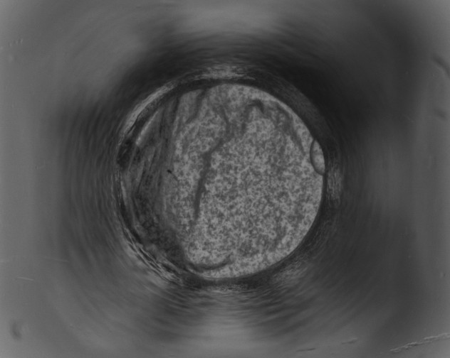 X0000103250724200809251350