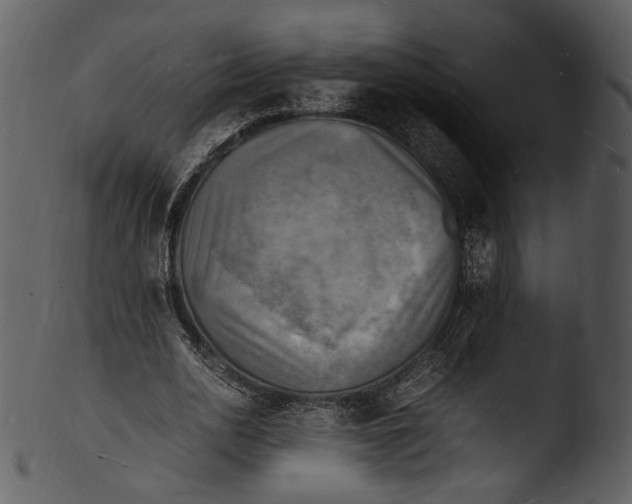 X0000103250726200809251350
