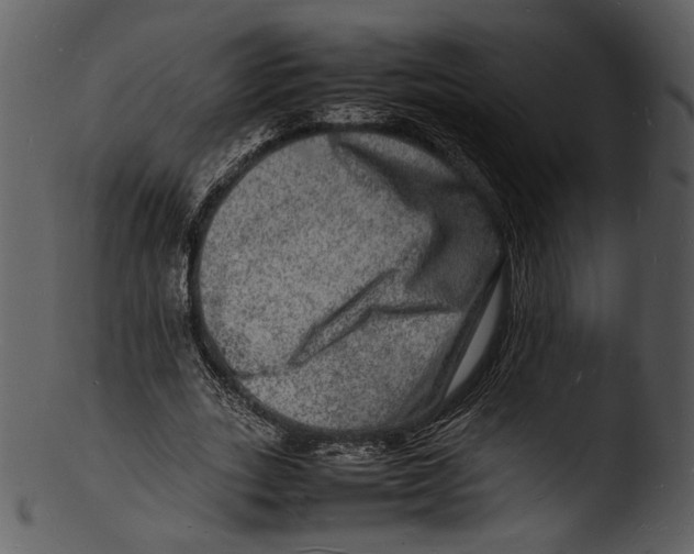 X0000103250727200809251350