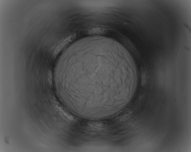 X0000103250729200809251350