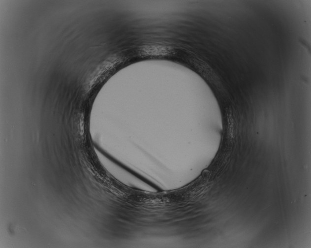 X0000103250731200809251350