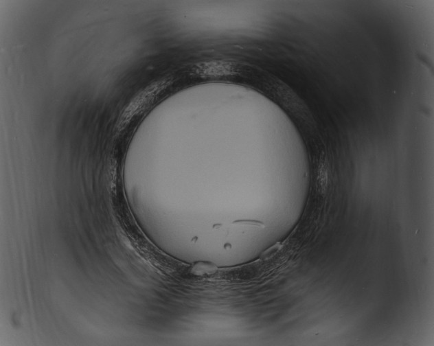 X0000103250732200809251350
