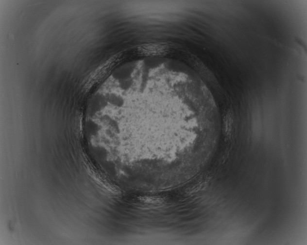 X0000103250733200809251350