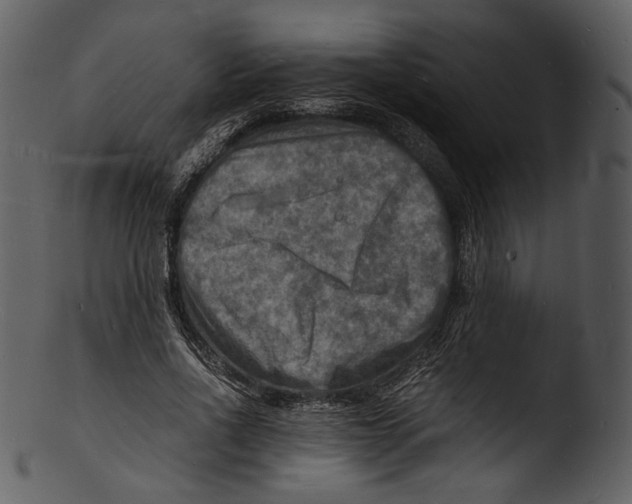 X0000103250734200809251350