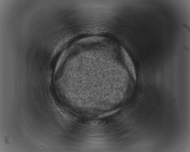 X0000103250736200809251350