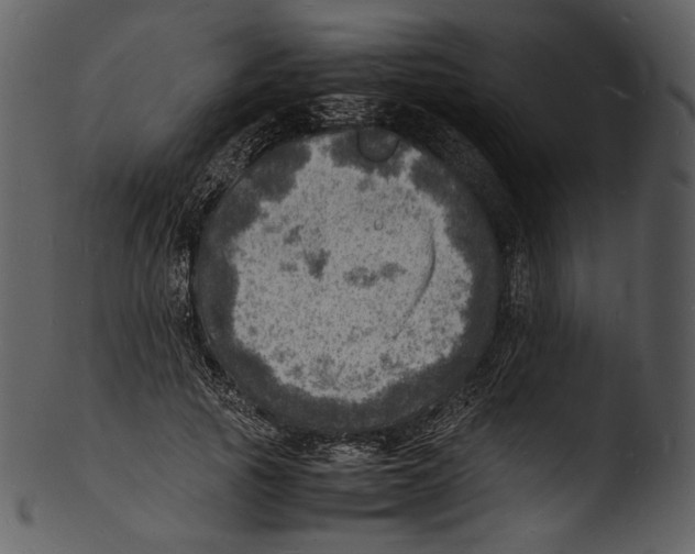 X0000103250737200809251350